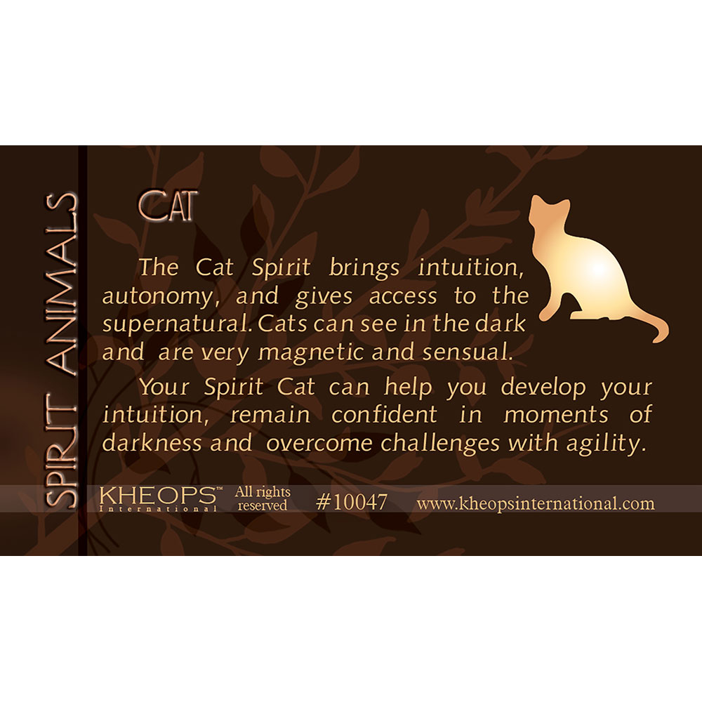 Spirit ANIMAL Info Card  Cat  (each)