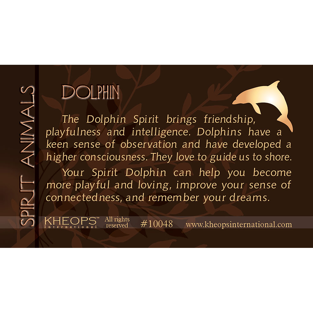 Spirit ANIMAL Info Card  Dolphin  (each)