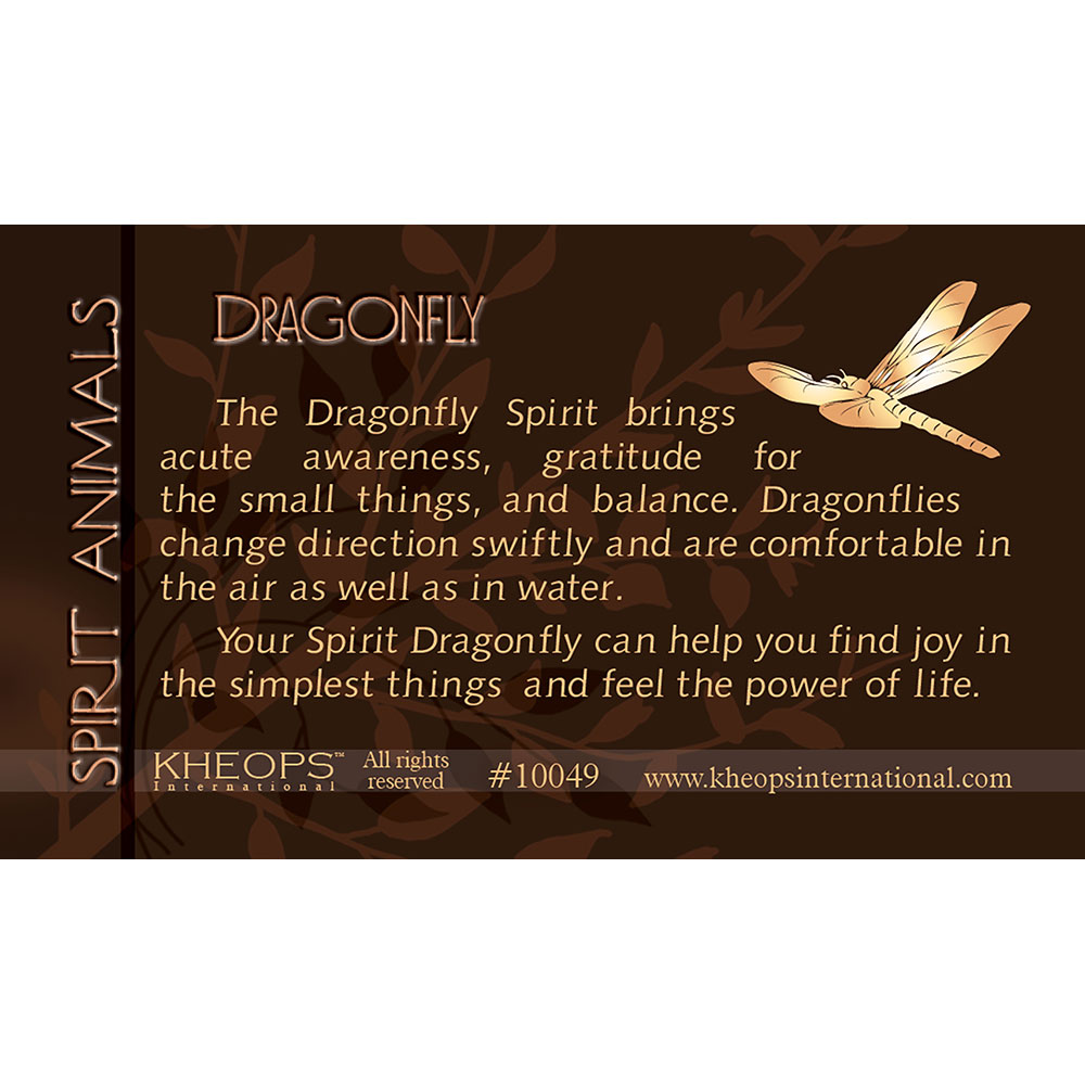 Spirit ANIMAL Info Card  Dragonfly  (each)