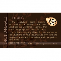 Spirit Animal Info Card  Ladybug  (each)