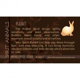 Spirit Animal Info Card  Rabbit  (each)