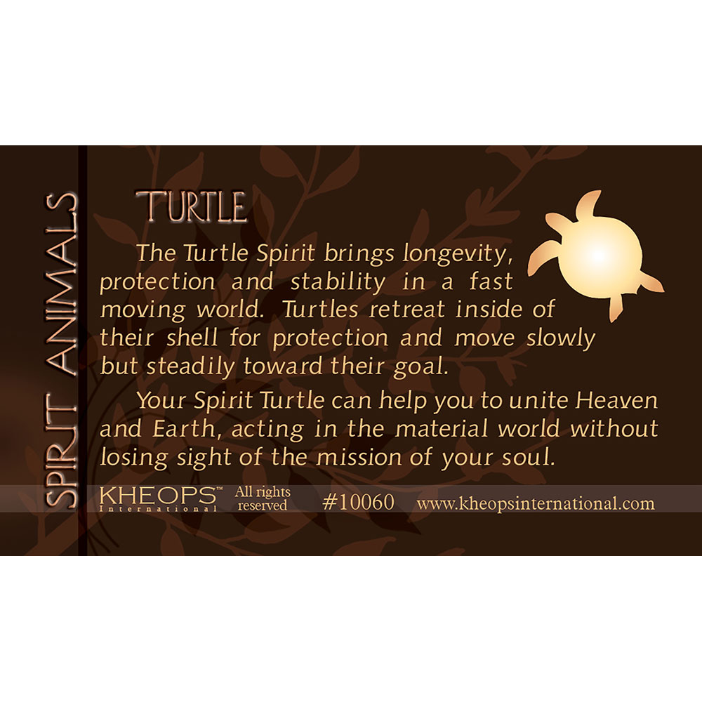 Spirit ANIMAL Info Card  Turtle  (each)