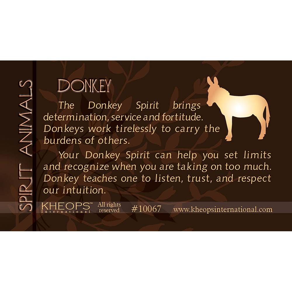 Spirit ANIMAL Info Card Donkey (each)