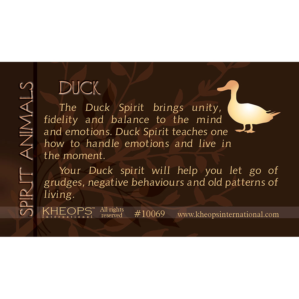 Spirit ANIMAL Info Card Duck (each)