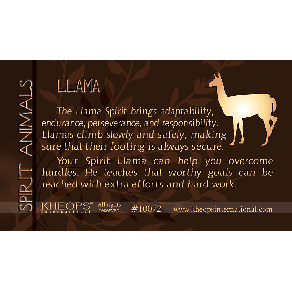 Spirit ANIMAL Info Card Lama (each)