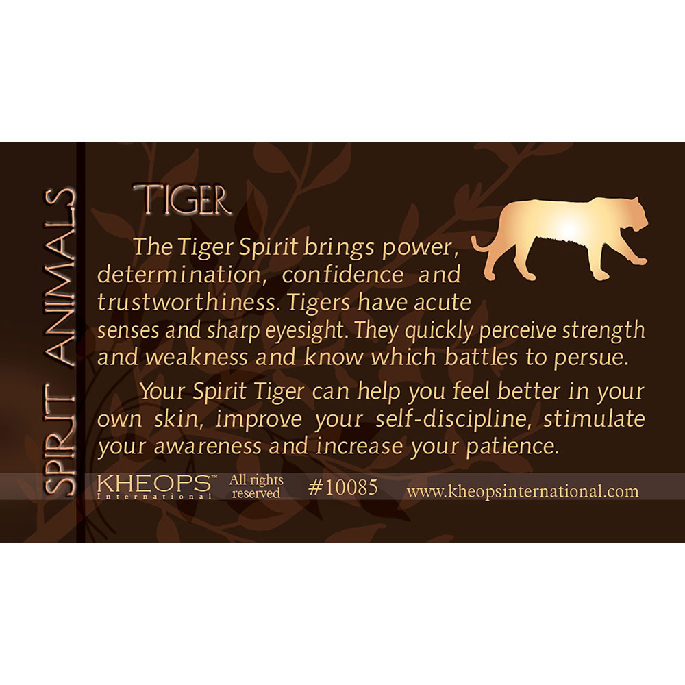 Spirit ANIMAL Info Card Tiger (Each)