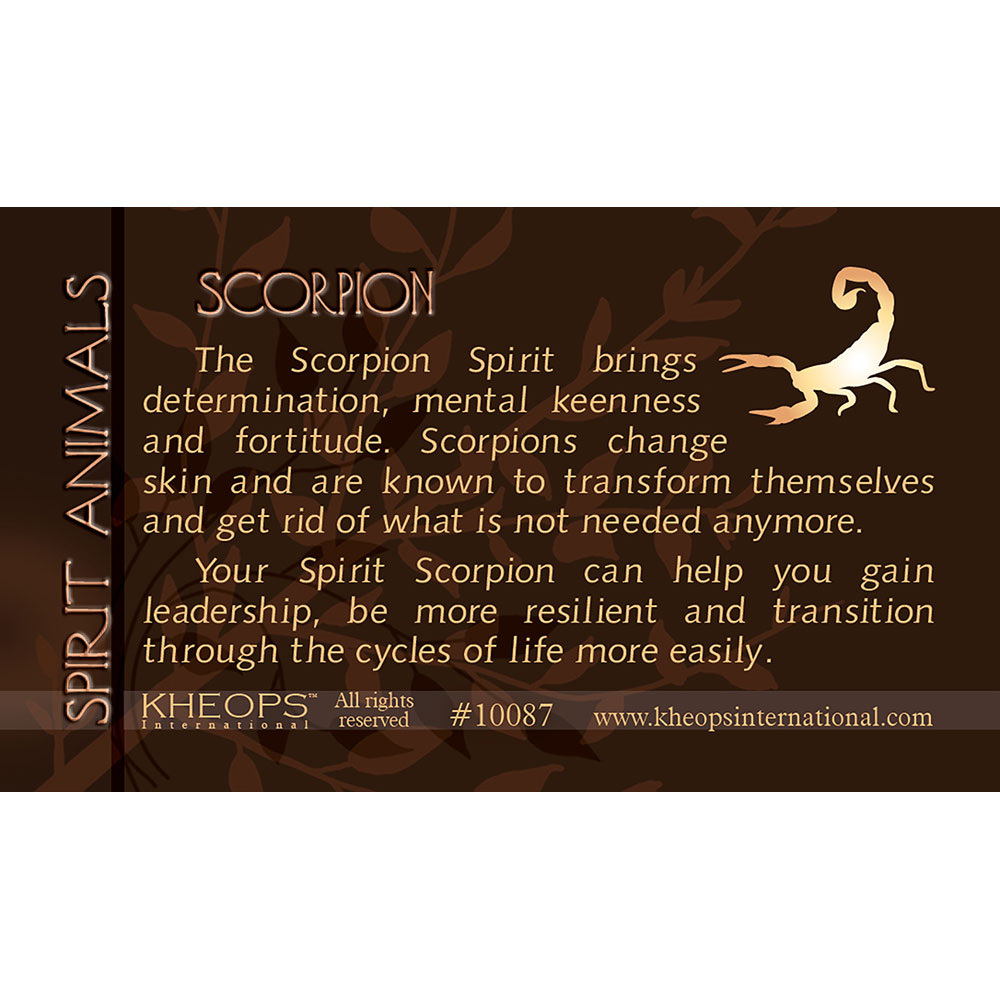 Spiritual Meaning of a Scorpion  