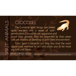 Spirit Animal Info Card Crocodile (Each)