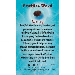 Gemstone Properties Info Card - Petrified Wood (Each)