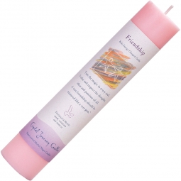 Reiki Herbal Pillar Candle Friendship (Each)