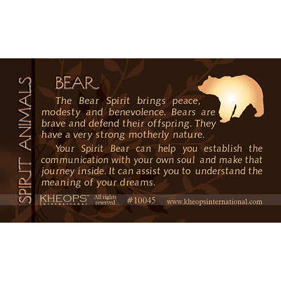 Spirit Animal Info Card Bear (each) 