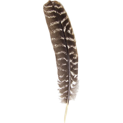 Turkey Smudge Feather | Kheops International